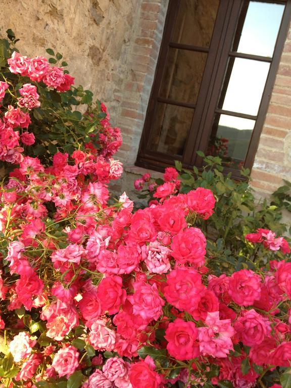 Residenzia Del Sogno Castellina in Chianti
