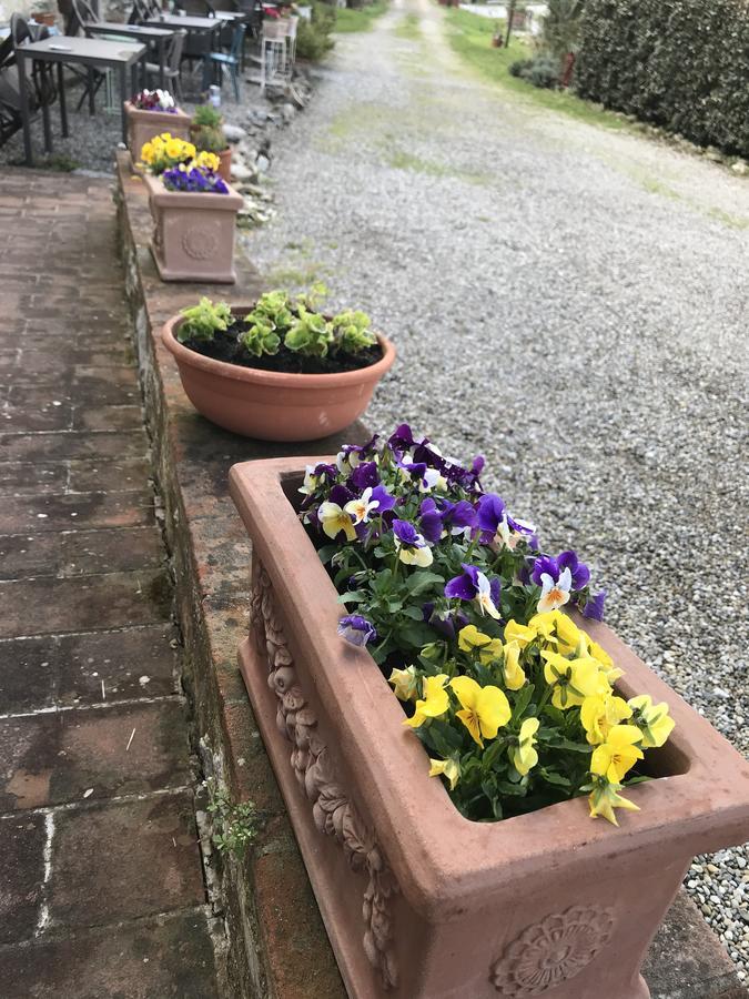 Residenzia Del Sogno Bed & Breakfast 3*